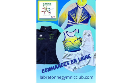 Commandes en ligne 