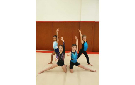 GAF / Stage Région du 10 au 13 nov